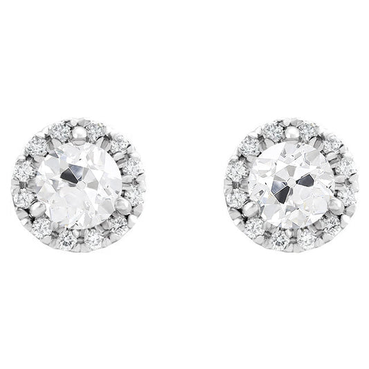 Diamant Ohrringe 5-Karat 14K Weißgold – Hauptansicht