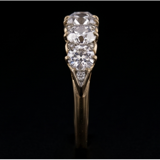 Echter Diamant Memoire-Ring 5 Karat