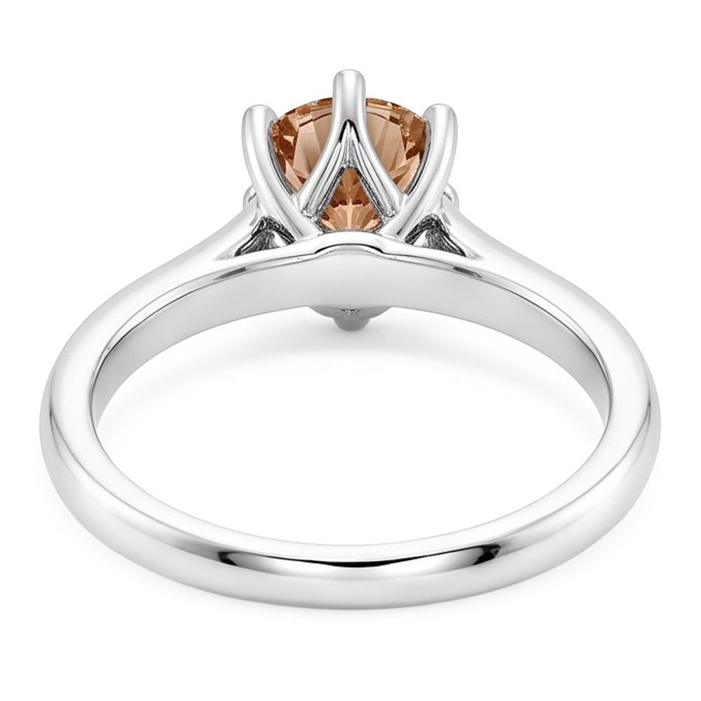 Echter Diamant Ring 1 Karat - Platin