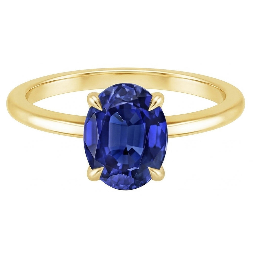 Echter Diamant Ring 2.50 Karat