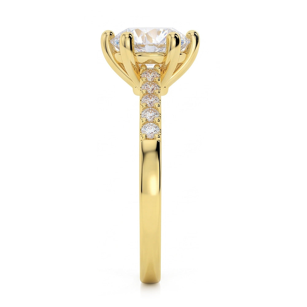 Echter Diamant Ring 2.50 Karat