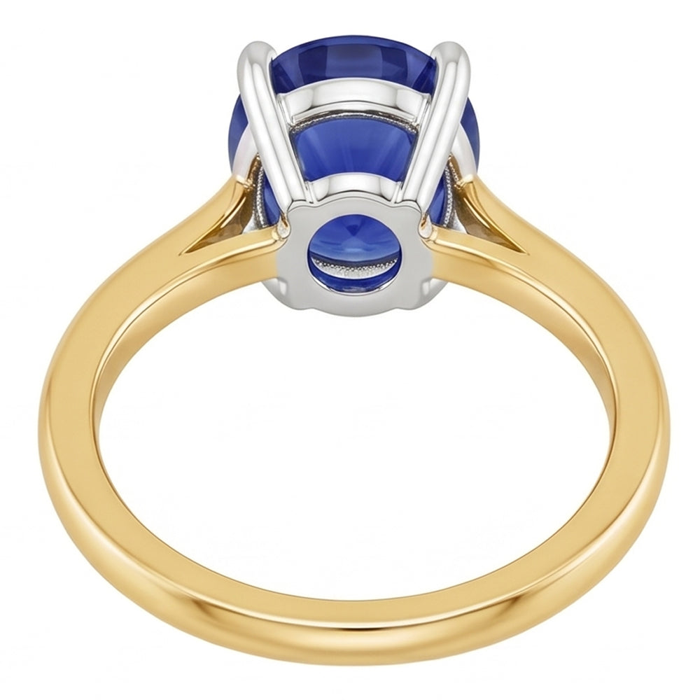 Echter Diamant Ring 2.50 Karat
