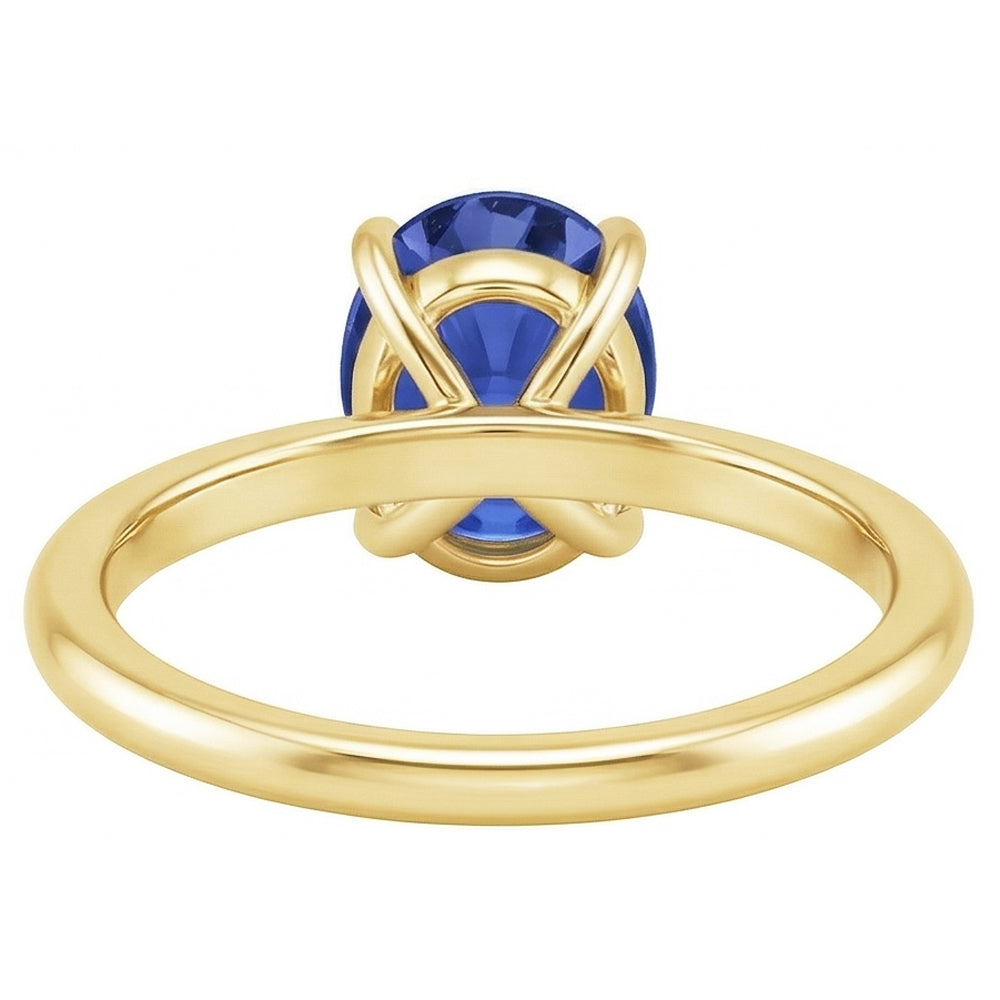 Echter Diamant Ring 2.50 Karat