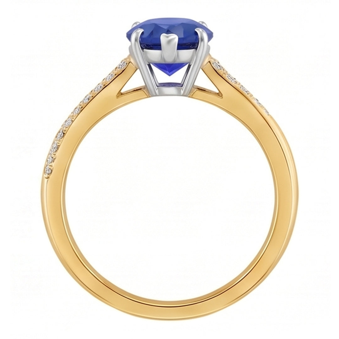 Echter Diamant Ring 2.50 Karat