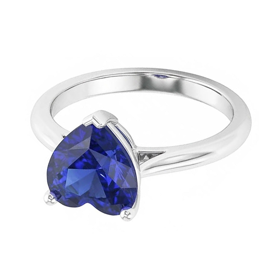 echter round diamant 2.50Karat ring Band Detail