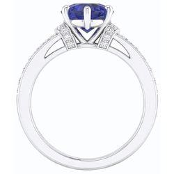 Echter Diamant Ring 3.50 Karat