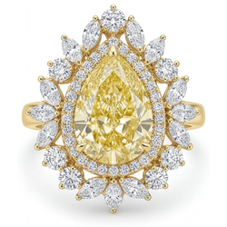 Stilvoller VVS Gelber Kanarienvogel-Diamant Halo-Ring – 2,50